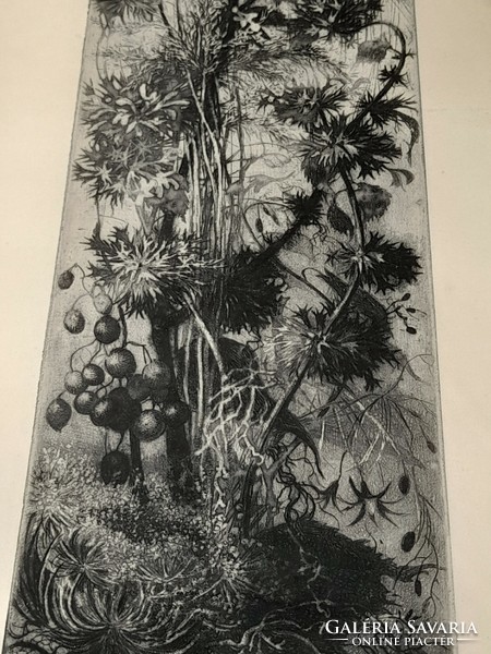 Mária Hertay, Sopron, 1932 etching
