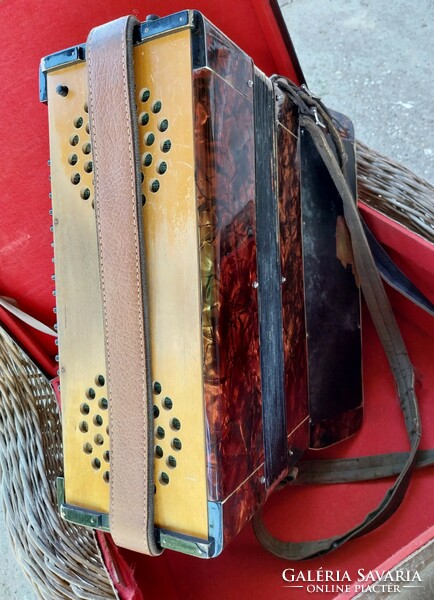 Hb registrato vintage button tango accordion
