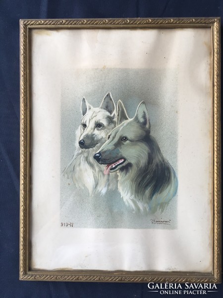Dogs, with Komárom sign, framed, glazed painting.