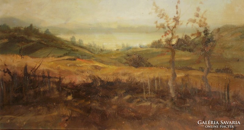 István Almady (20.Sz. Közepe): Balaton landscape