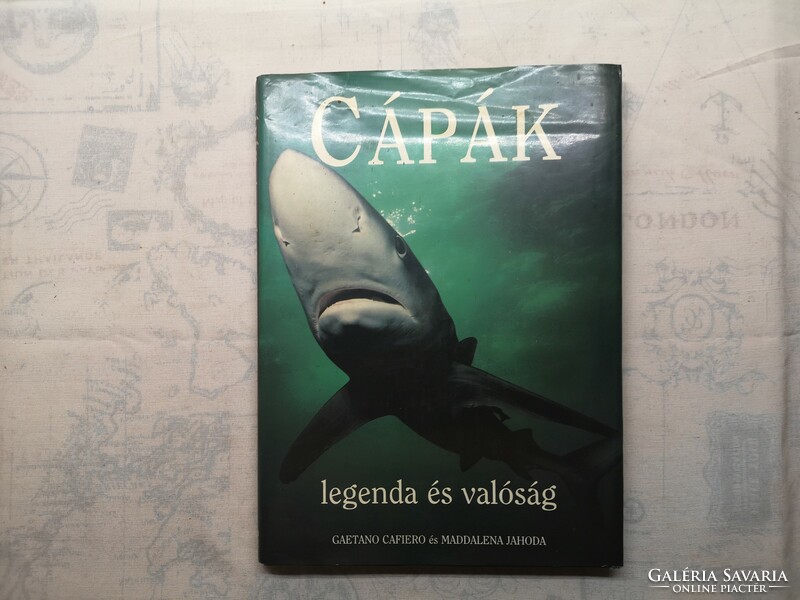 Gaetano Cafiero - Cápák legenda és valóság