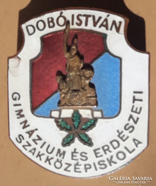 Dobó István gimnázium és erdészeti szakközépiskola jelvény . Eger . 33x28mm