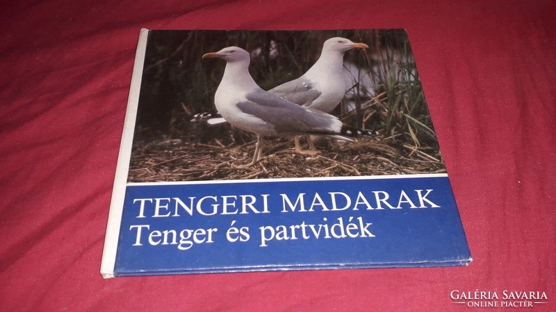 1988.Claus Schönert :Tengeri madarak képes ifjúsági könyv a képek szerint MÓRA