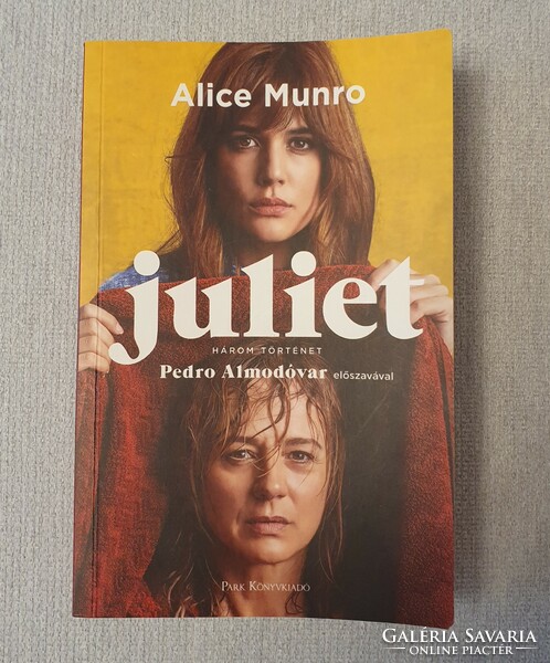 Alice Munro : Juliet , könyv