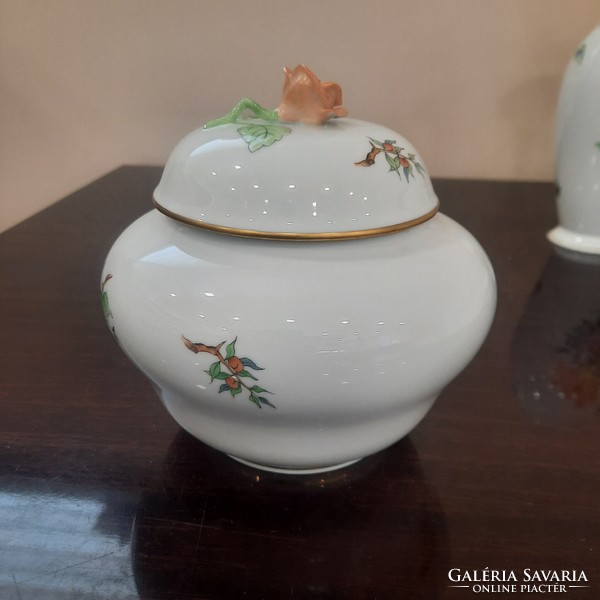 Large Herend Hecsedli porcelain bonbonier with rosehip pattern