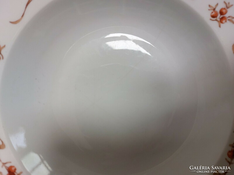 Alföldi csipkebogyó mintás porcelán 3db mély, 8db lapos tányér