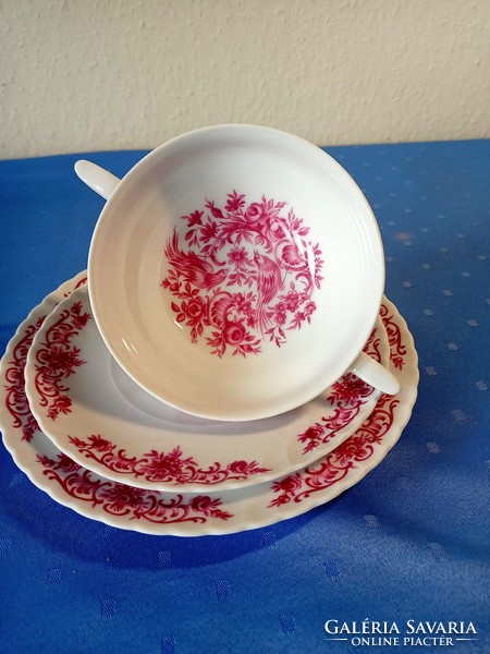 Royal Tettau madaras porcelán levescsésze tányérrokkal (17)