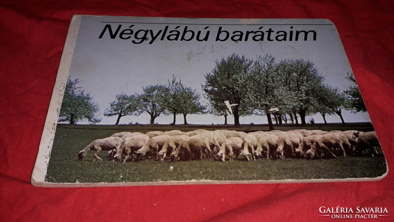 1970. My four-legged friends picture children's hardcover book according to the pictures Bratislava - mlade leta