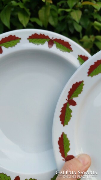 Rare oak leaf hunter lowland porcelain soup plate 6 pcs