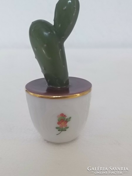 A rare collector's item in a cactus pot from Herend