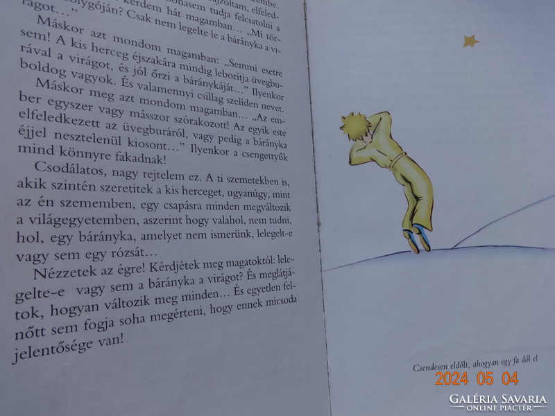 Antoine de Saint-Exupery: A kis herceg - mesekönyv a szerző rajzaival