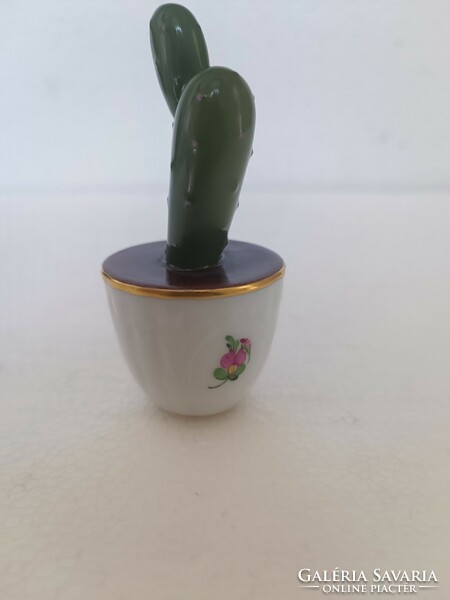 A rare collector's item in a cactus pot from Herend