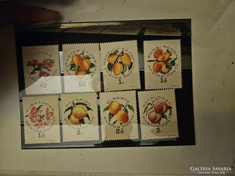 1964 peach varieties **