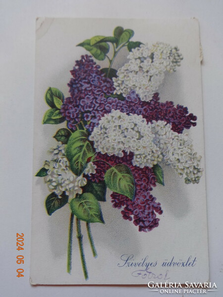 Régi grafikus virágos üdvözlő képeslap: orgonacsokor