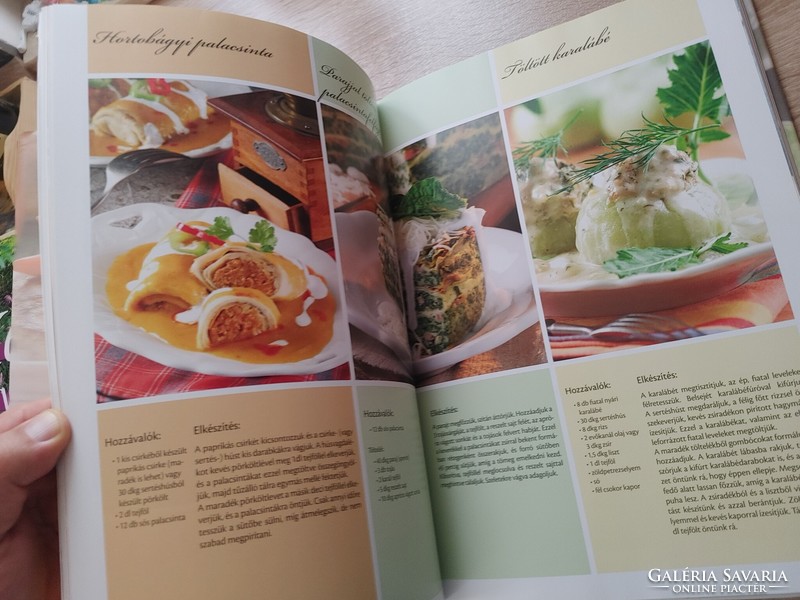 Delicious dishes - illustrated cookbook by Croatian Ilona with more than 100 photos