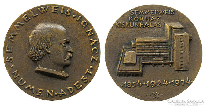 Búza Barna: Semmelweis Ignácz Kórház Kiskunhalas 1854-1924-1974