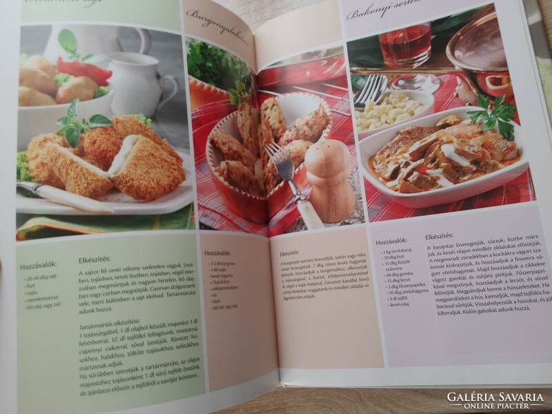 Delicious dishes - illustrated cookbook by Croatian Ilona with more than 100 photos
