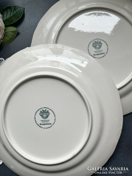 Villeroy & Boch burgenland porcelain plate, flat plates, 2 in one