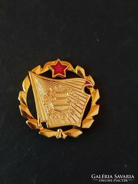 Socialist brigade badge badge