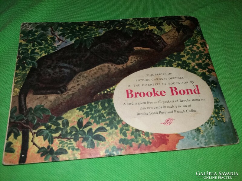 1970. Sticker collector's album of Broke bond tea's photo supplement African wildlife according to the pictures