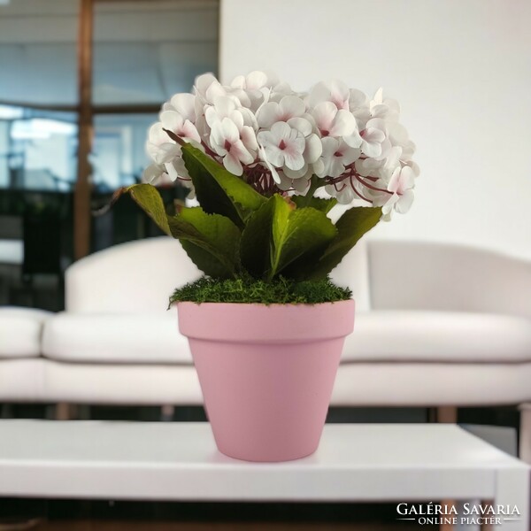 Pink, white hydrangea in pot hor301fhrs