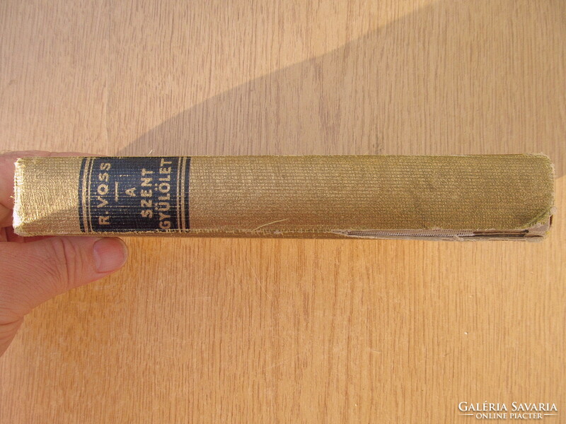(1929 Gilded) richard voss: the holy hatred - brothers of the printing house