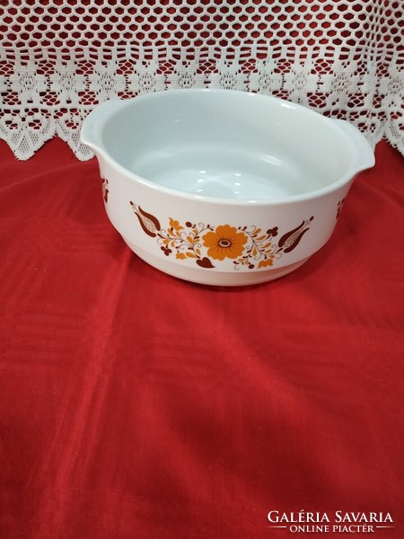 Panni decorative lowland porcelain stew bowl