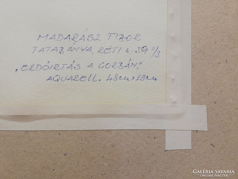 MADARÁSZ TIBOR Erdő irtás Tardoson, a Gorbatetőn