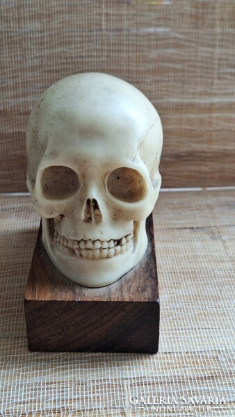 Skull figure for sale