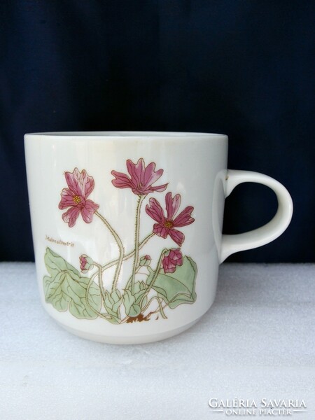 Alföldi botanica mug