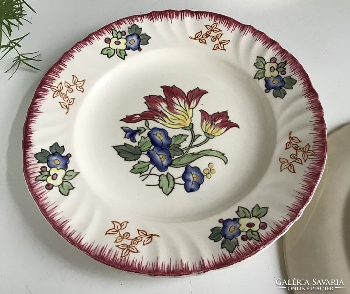 Beautiful longwy plates