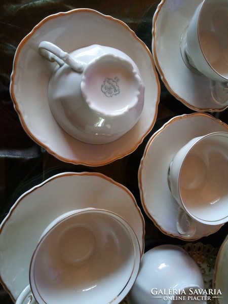6 Individual antique tea cups + cup base xx