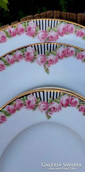 Beautiful Rosenthal dinner set for 12 people, 57 pieces