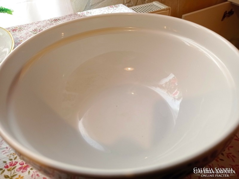 A large lowland bowl with a rare pattern