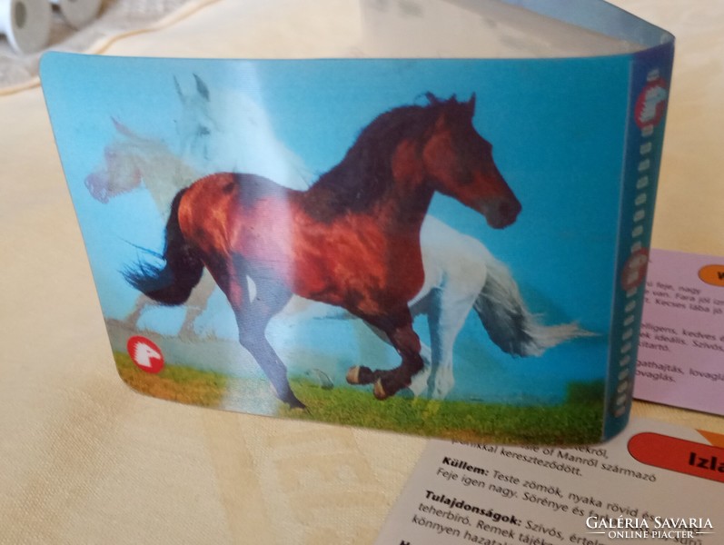Poni klub pony club hologramos kártya album 15db ló ismertető kártyával
