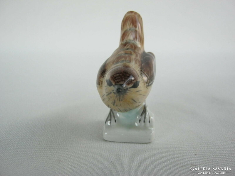 Aquincumi porcelán ökörszem madár kismadár