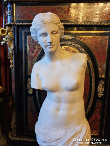 Venus statue