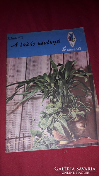 1969. Color - good series lajos szűcs: the house plants book according to the pictures minerva