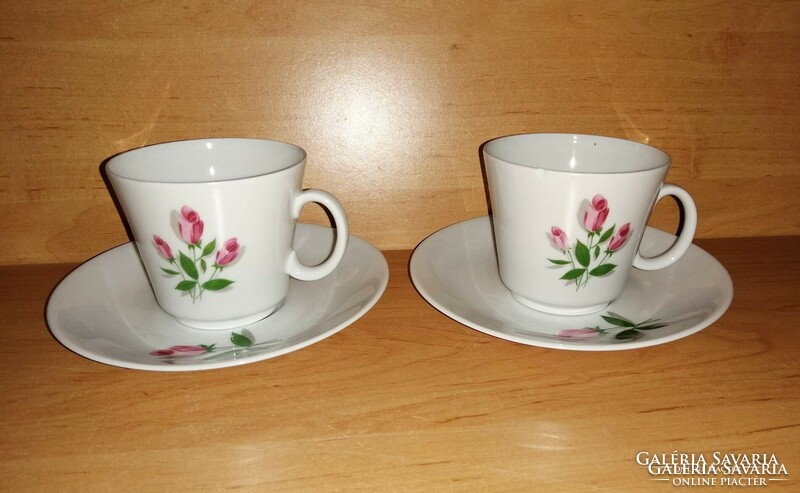 Schirnding Bavarian porcelain rose cup in pair (0-1)