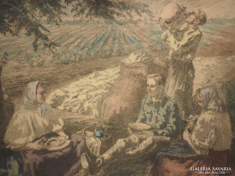 István Imre (1918-1983): cotton harvest