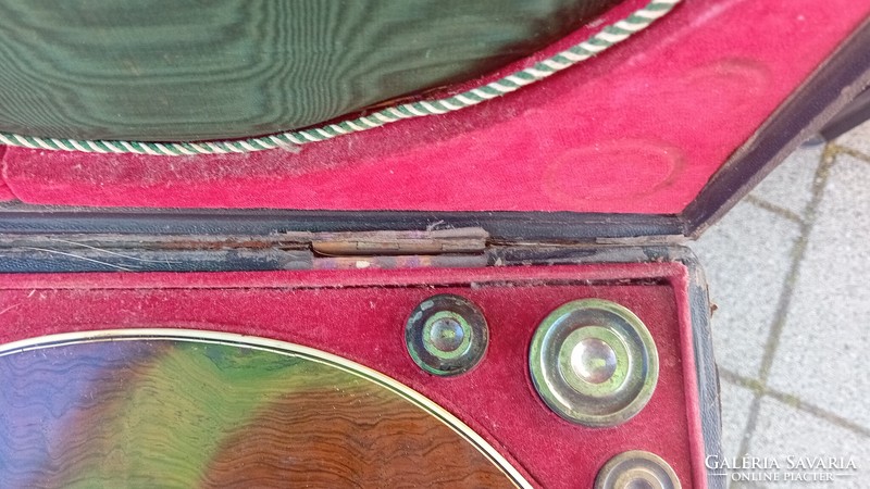 A multi-stringed zither