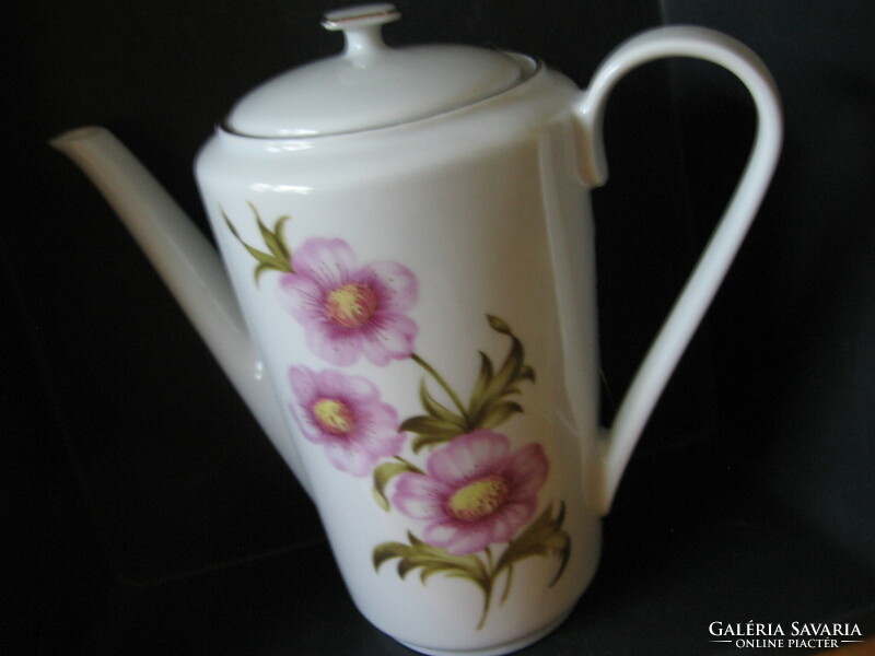 Retro wild rose kahla ddr tea, coffee pot, jug