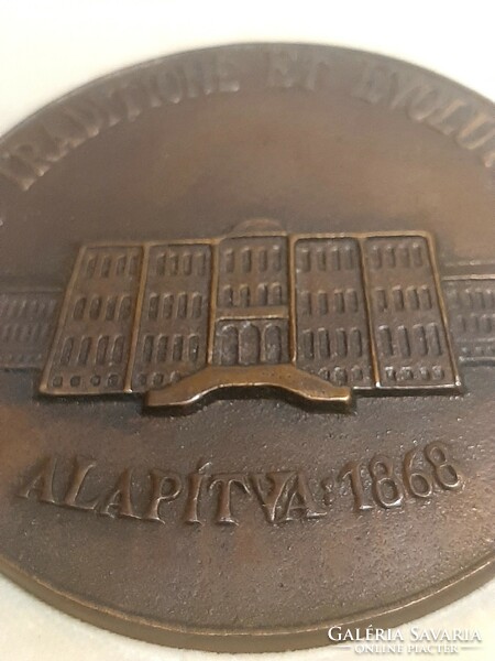 125 Years of the National Institute of Psychiatry and Neurology since 1993 bronze commemorative plaque