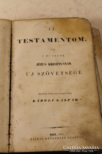 Károlyi 1861 Bible 194