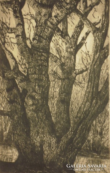 István Imre (1918-1983): old tree