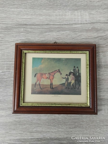 Eleanor horse picture