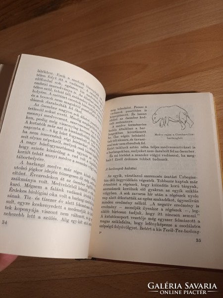 Ősemberek, ásatások (búvár könyvek) - Gábori Miklós - Móra Ferenc Könyvkiadó, 1964