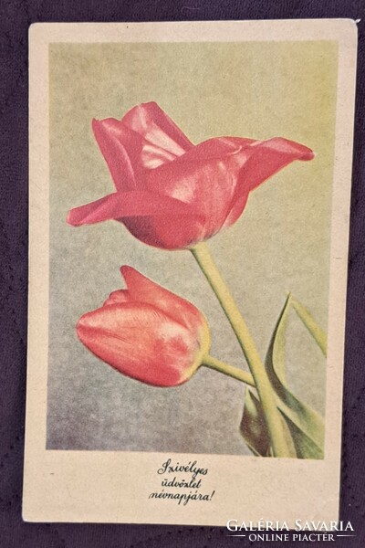 Old floral postcard 11 (m4717)