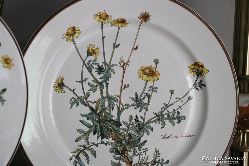 Villeroy Botanica lapos  tányér