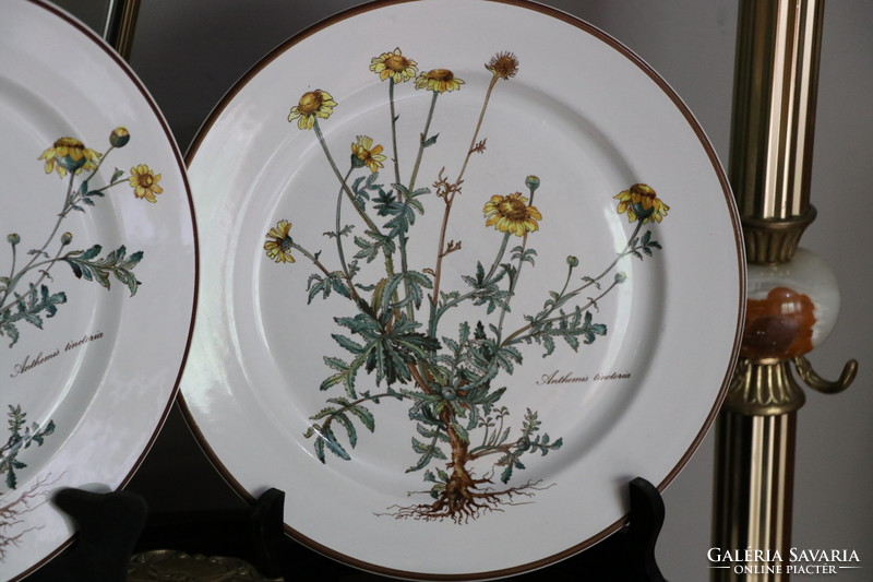 Villeroy Botanica lapos  tányér